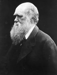 Charles Darwin, c.1870